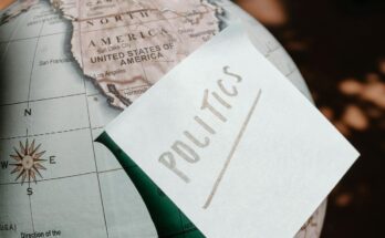 Understanding Political Science: An Overview